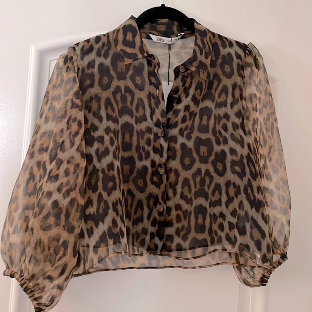 Zara leopard balloon sleeve blouse
